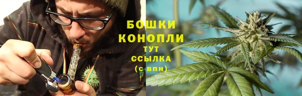 ГАЛЛЮЦИНОГЕННЫЕ ГРИБЫ Надым